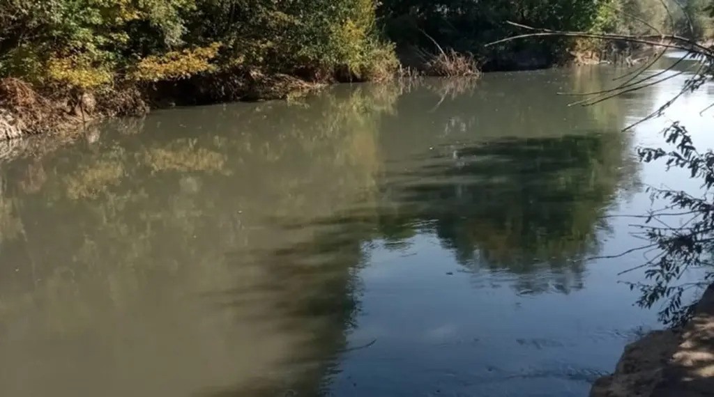 Dead water from Russia: Fish and other life perish in the polluted waters of the Seim River