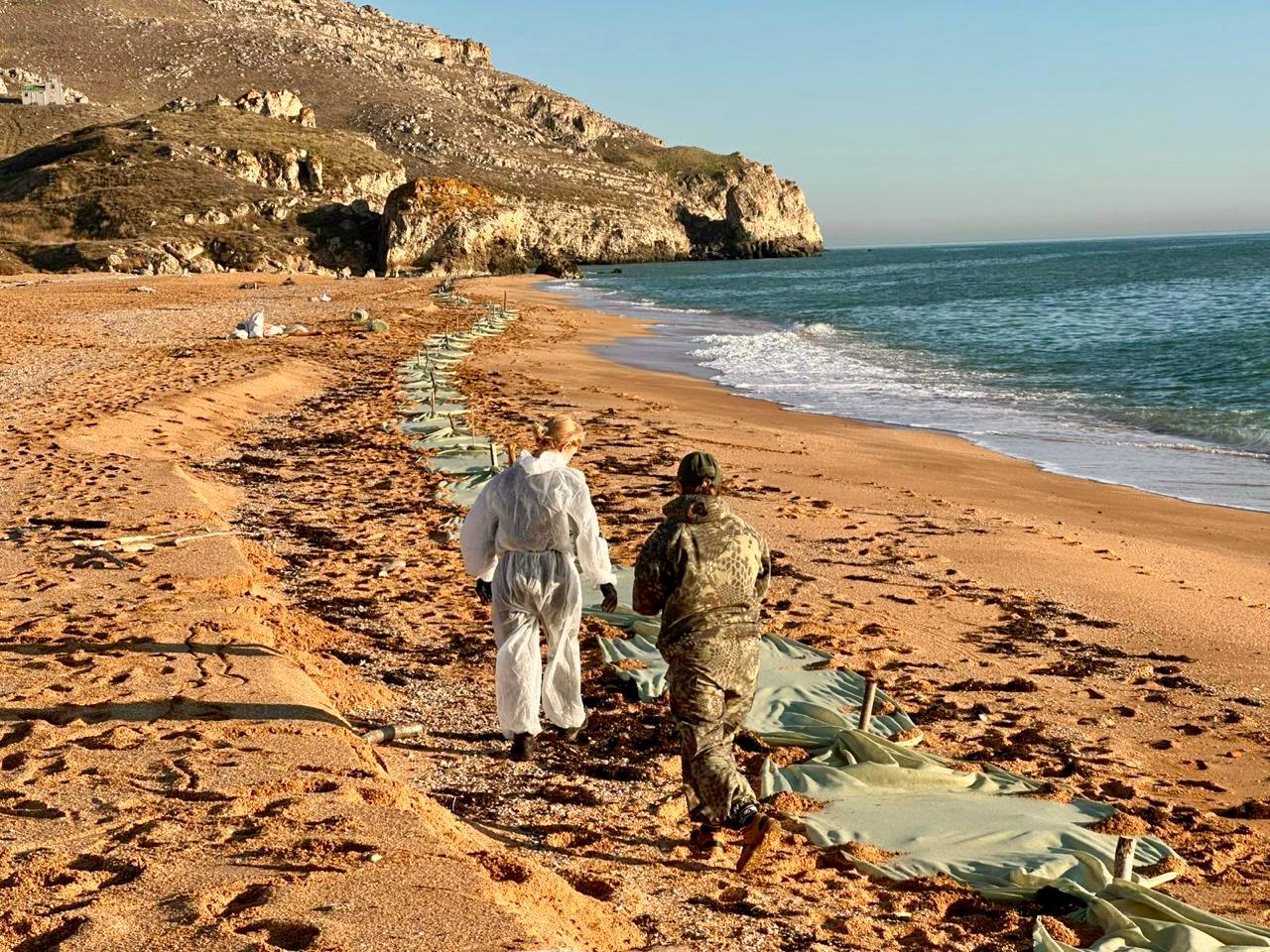 Military oil spill (2): Scale and consequences of the catastrophe for flora and fauna and the region’s ecosystems